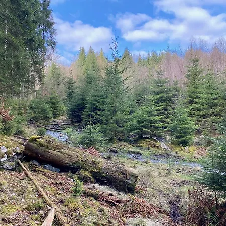 Le Clos Des Tilleuls - De Charme Avec Piscine Au Coeur De La Nature Dom wakacyjny
