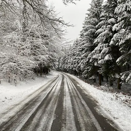 Le Clos Des Tilleuls - De Charme Avec Piscine Au Coeur De La Nature * Libin