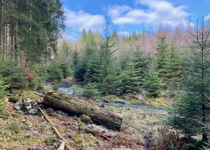 Le Clos Des Tilleuls - De Charme Avec Piscine Au Coeur De La Nature Prázdninový dům