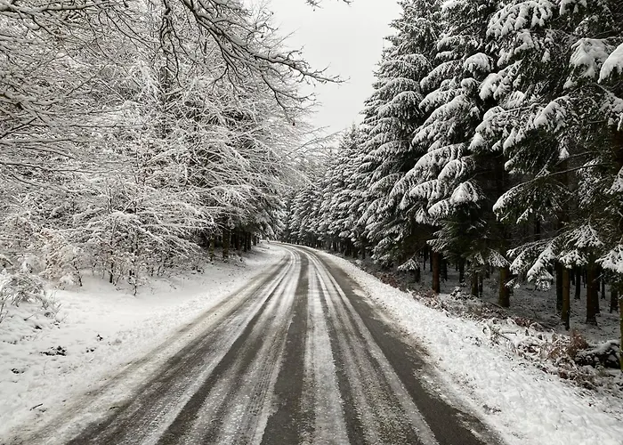 Le Clos Des Tilleuls - De Charme Avec Piscine Au Coeur De La Nature * Libin